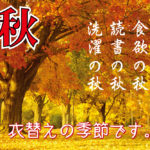 秋の衣替えクリーニング